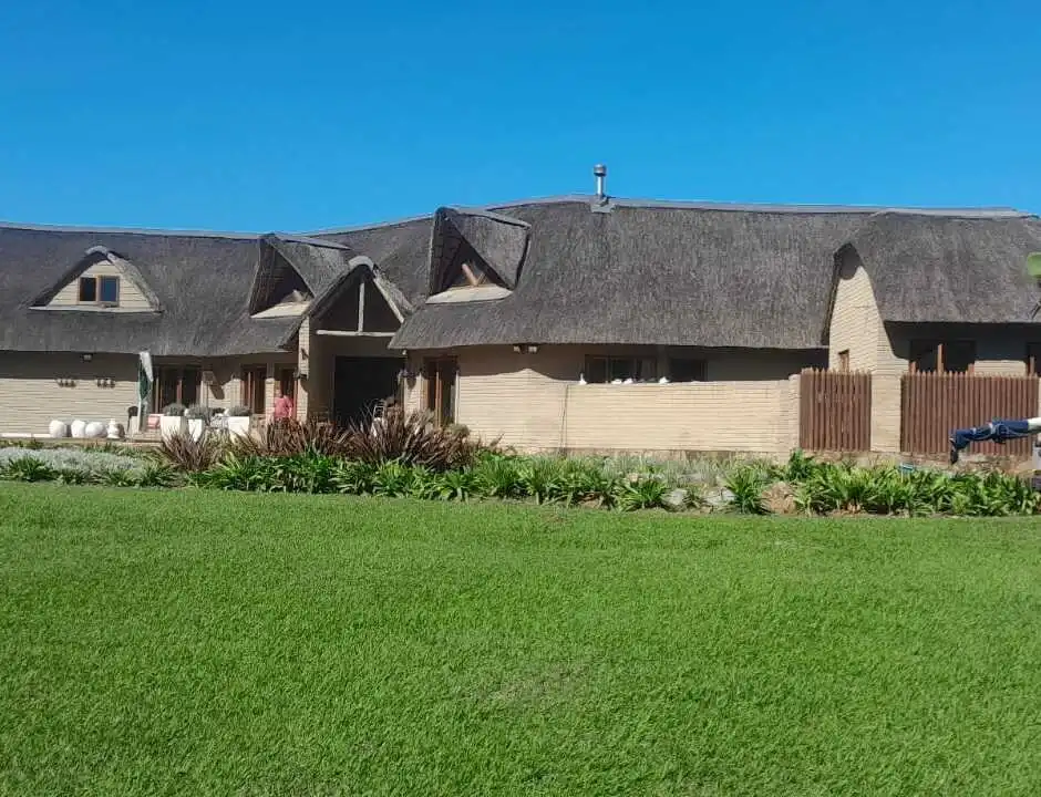 Thatched buildings set in open green land in the Eastern Cape
